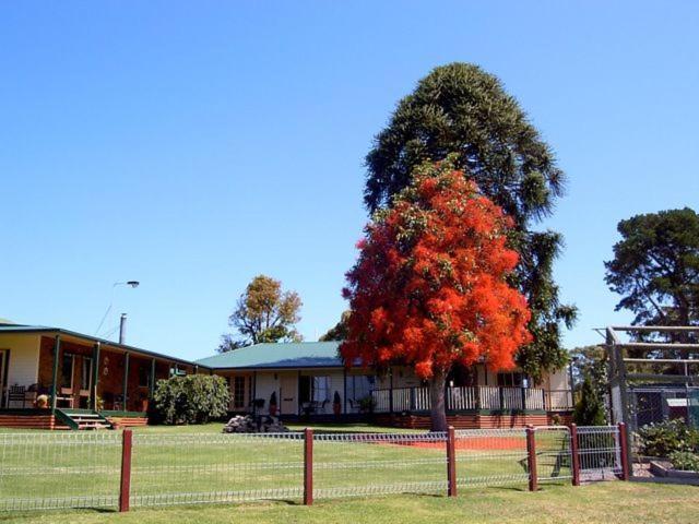 Snowy River Homestead Newmerella Экстерьер фото